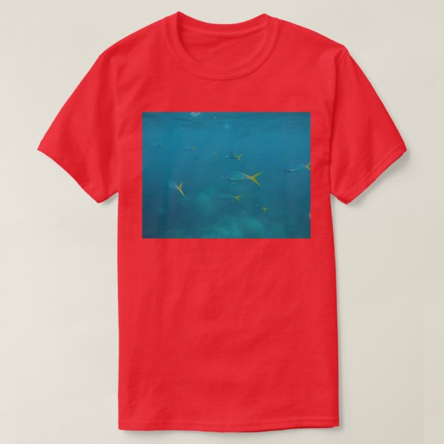 Aquarium 85 t shirt (Design framsida)