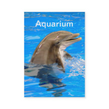 Aquarium-Affärskort med delfiner