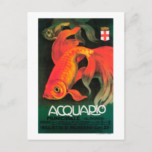 Aquarium & Municipal Park Promotional Poster Vykort