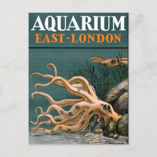 Aquarium Octopus Vintage affisch återställd Vykort