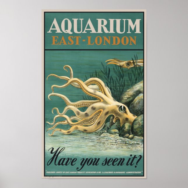 Aquarium, Öster London- Octopus Poster (Framsidan)