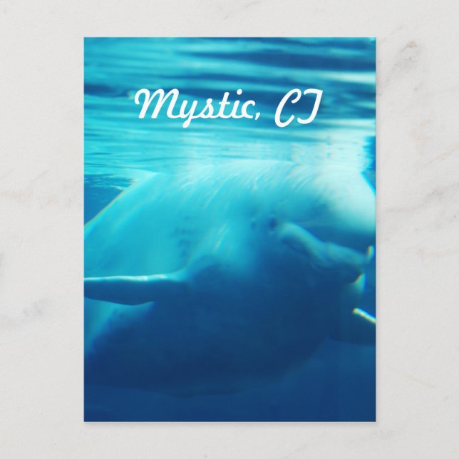 Aquarium Vykort (Framsida)