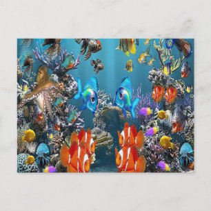 Aquarium Vykort