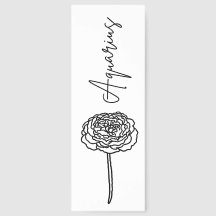 Aquarius Carnation | Födelsemånad Flower Zodiac Bo