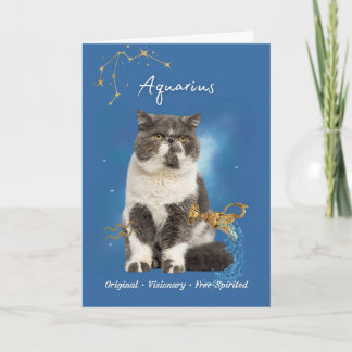 Aquarius Cat Birthday Card Kort
