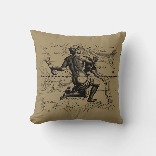 Aquarius Constellation Hevelius 1690 Engrave Kudde (Framsida)