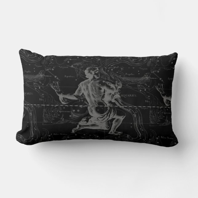 Aquarius Constellation Hevelius 1690 on Black Lumbarkudde (Framsida)