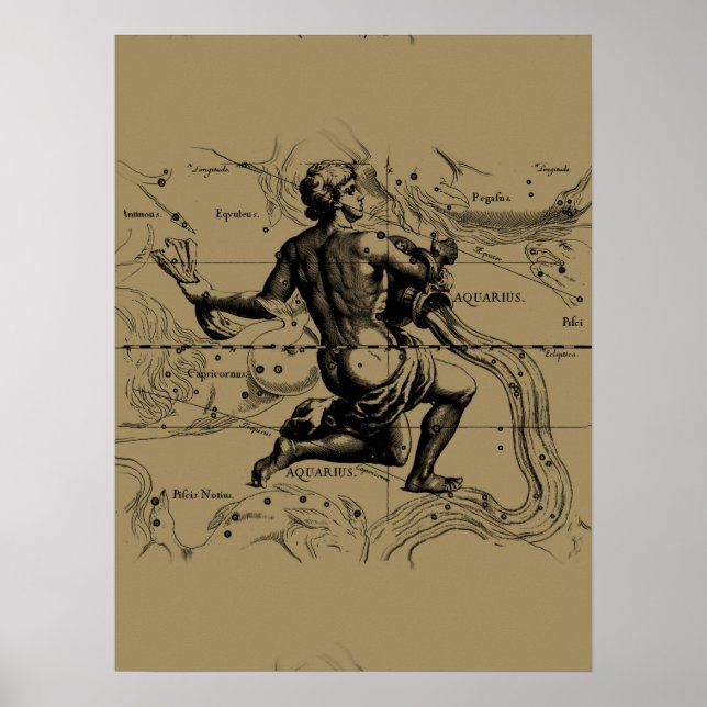 Aquarius Constellation Karta av Hevelius Poster (Framsidan)