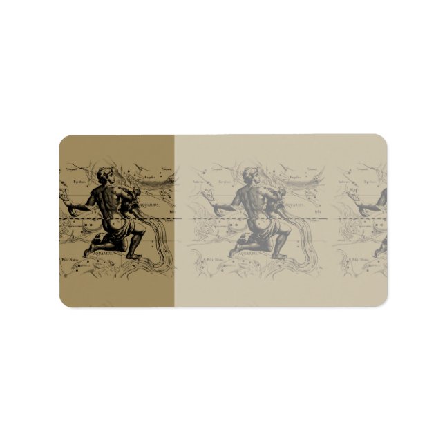 Aquarius Constellation Karta Hevelius 1690 om Taup Adressetikett (Framsidan)