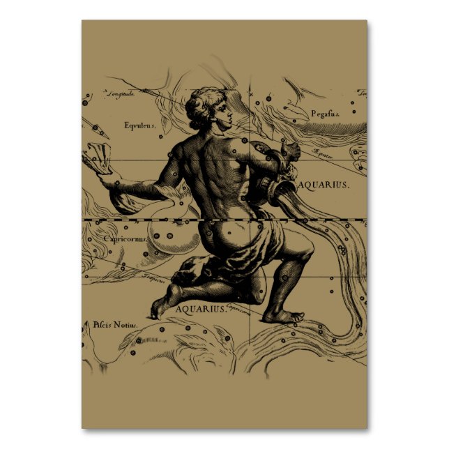 Aquarius Constellation Karta Hevelius 1690 om Taup Bordsnummer (Framsidan)