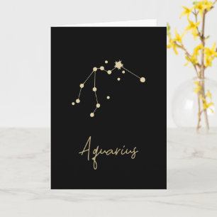 Aquarius Constellation Zodiac Kort