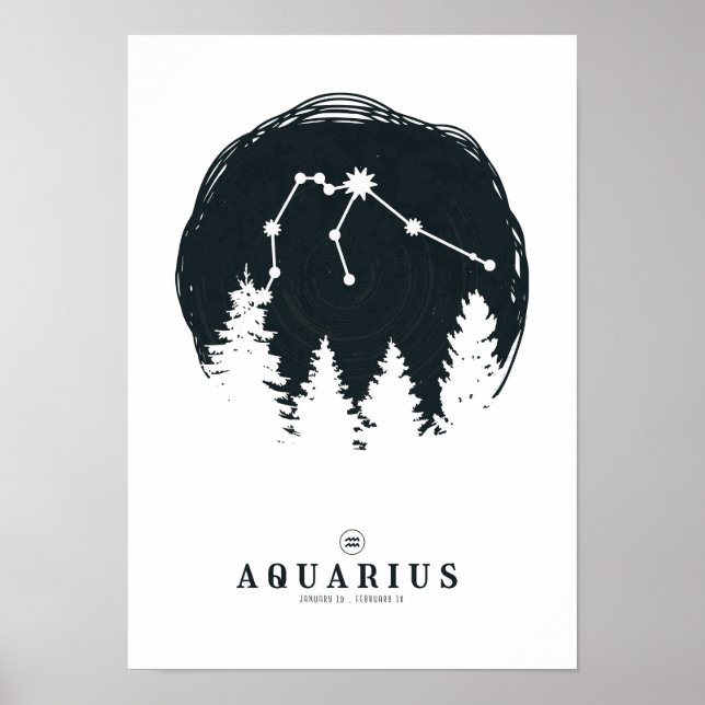 Aquarius Constellation Zodiac Poster (Framsidan)
