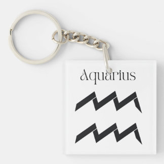 Aquarius: Echoes of Freedom