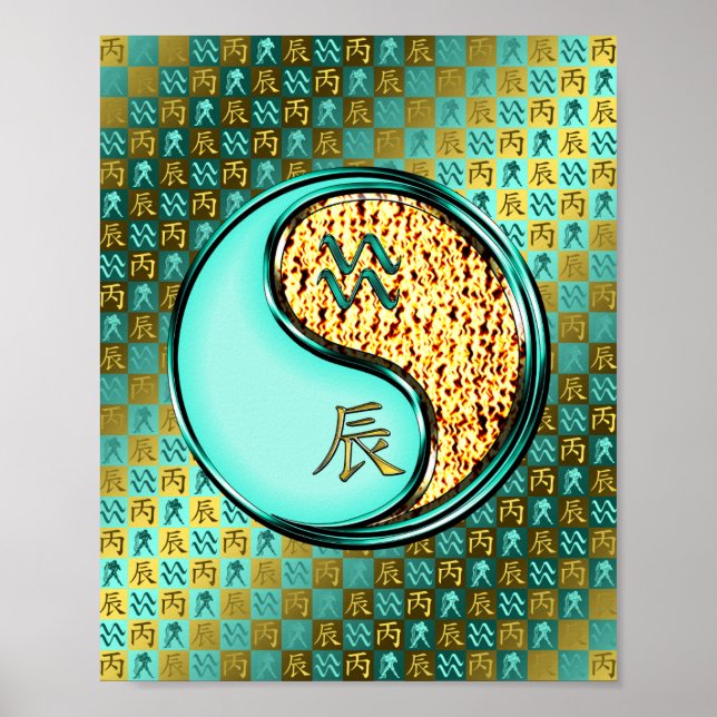 Aquarius & Fire Dragon Poster (Framsidan)