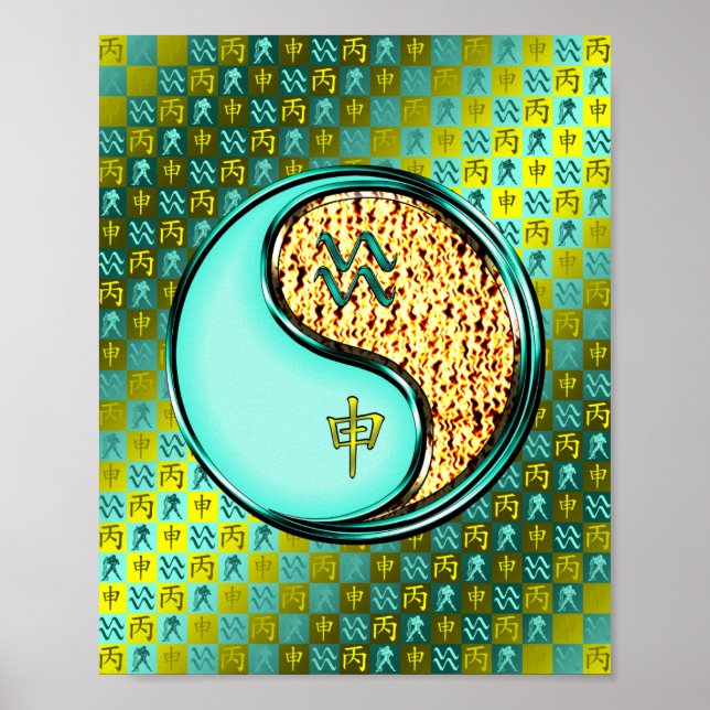 Aquarius & Fire Monkey Poster (Framsidan)