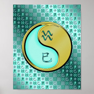 Aquarius & Metall Snake Poster