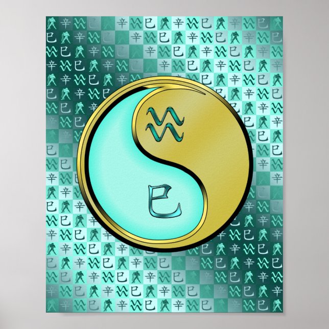 Aquarius & Metall Snake Poster (Framsidan)