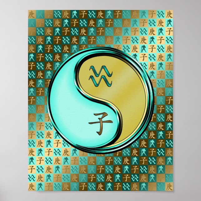 Aquarius och Metall Råtta Poster (Framsidan)