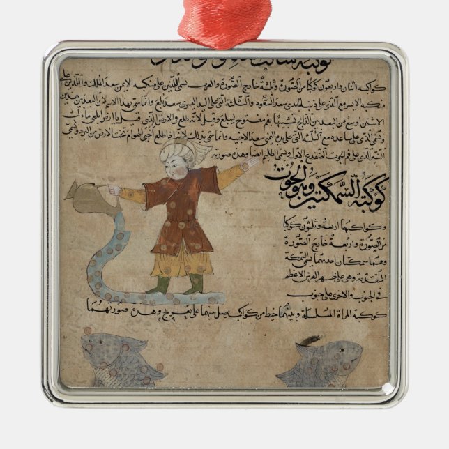 Aquarius och Pisces Julgransprydnad Metall (Framsidan)