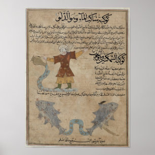 Aquarius och Pisces Poster