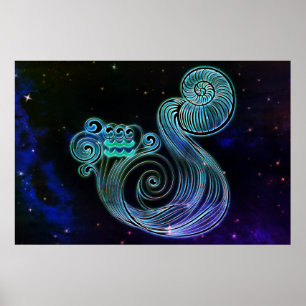 aquarius vatten bäraren zodiac poster