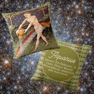 Aquarius Vatten Bearer Zodiac-Födelsedagsfest Kudde