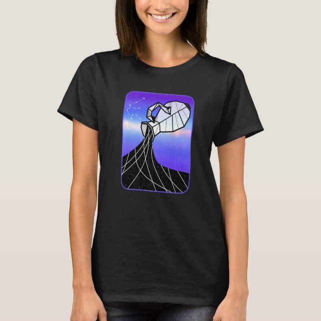 Aquarius Vatten Jug Stjärntecken Horoscope Astrolo T Shirt (Framsida)