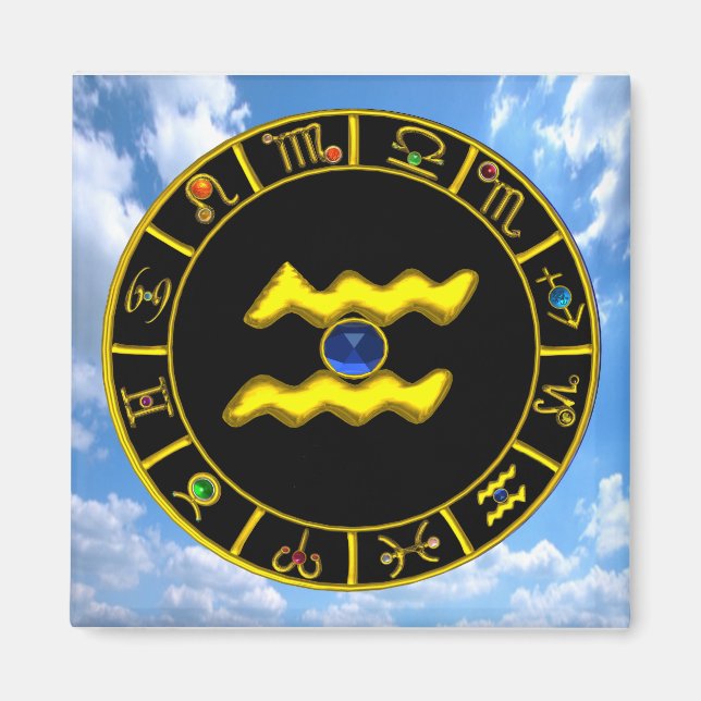 Aquarius/Zodiac Birthday Signs Magnet (Framsidan)