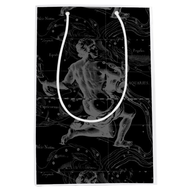 Aquarius Zodiac Constellation Engrave Hevelius (Framsidan)