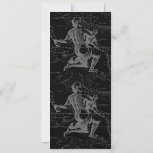 Aquarius Zodiac Constellation Hevelius 1690