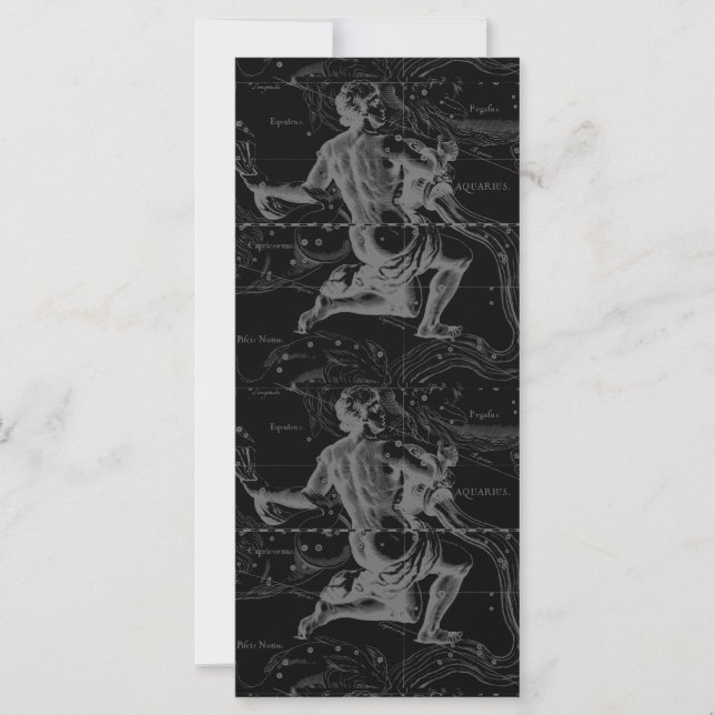 Aquarius Zodiac Constellation Hevelius 1690 (Framsida)