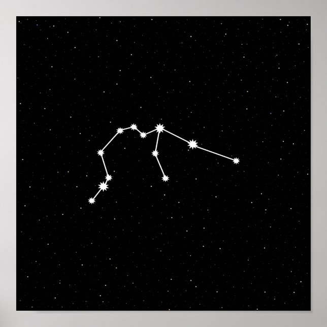 Aquarius Zodiac Constellation Modern Black & White Poster (Framsidan)