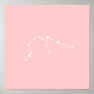 Aquarius Zodiac Constellation Modern Rosa Poster