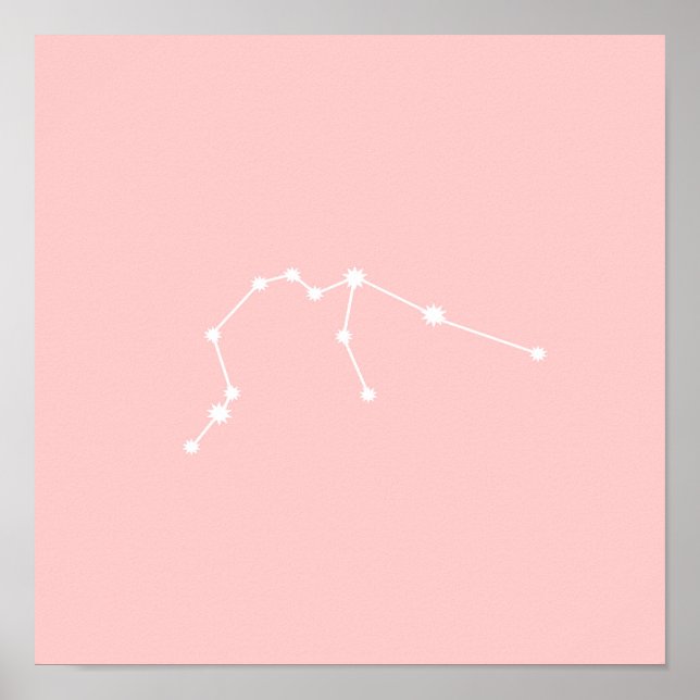 Aquarius Zodiac Constellation Modern Rosa Poster (Framsidan)