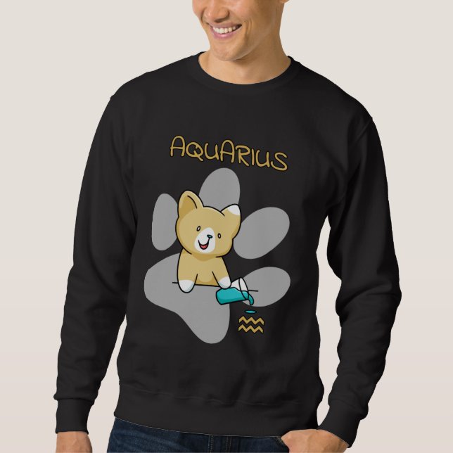 Aquarius Zodiac Sign Cat Astrology  Kitten Cats Lång Ärmad Tröja (Framsida)