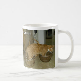AquariuskattZodiac undertecknar muggen Kaffemugg
