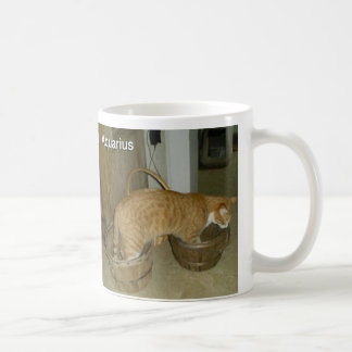AquariuskattZodiac undertecknar muggen Kaffemugg