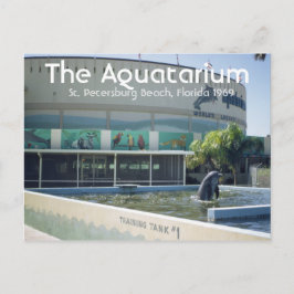 Aquatarium St. Pete Beach Florida Postcard Vykort