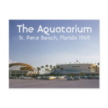 Aquatarium St. Pete Beach, Florida Postcard