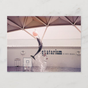 Aquatarium St. Pete Beach Florida Postcard Vykort