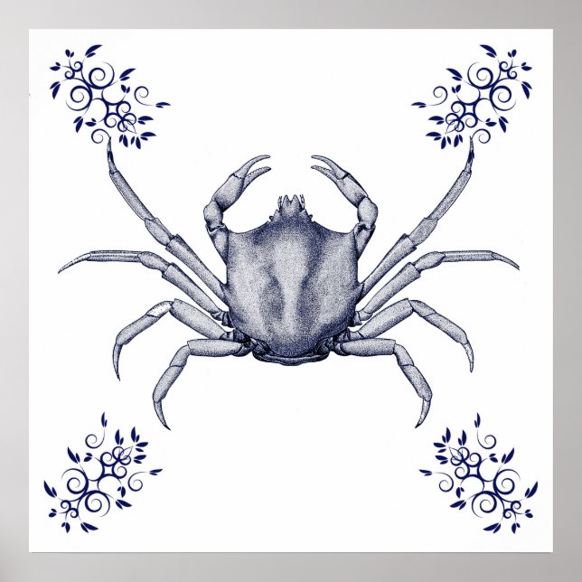 Aquatic Art ~ Kelp Crab Poster (Framsidan)