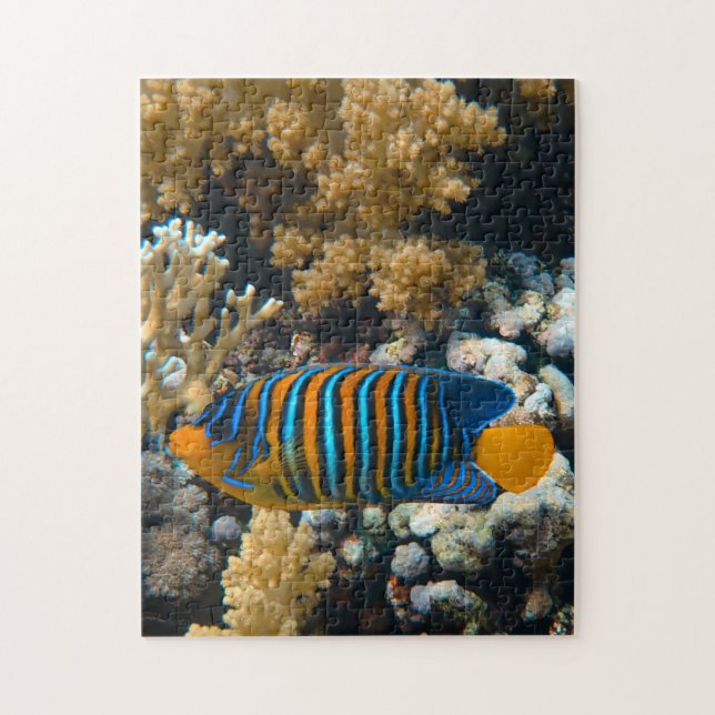 Aquatic Puzzles Nautical Photos Marine Fish Puzzle Pussel (Vertikal)