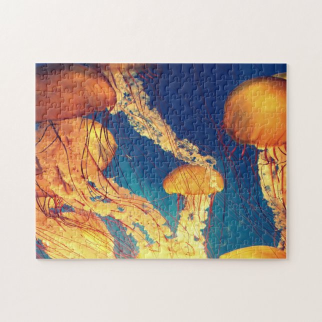 Aquatic Puzzles Nautical Photos Marine Fish Puzzle Pussel (Horisontell)