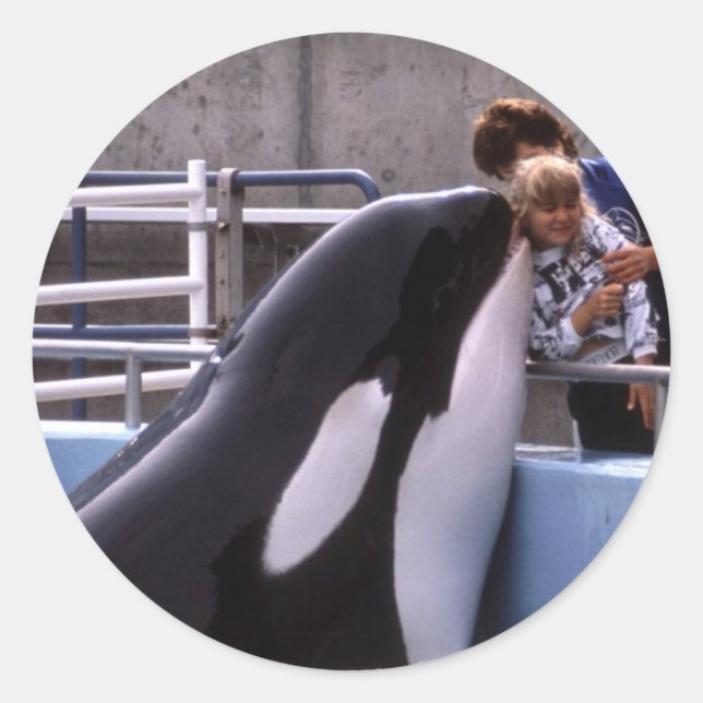 Aquatic Stickers Runt Klistermärke (Framsida)