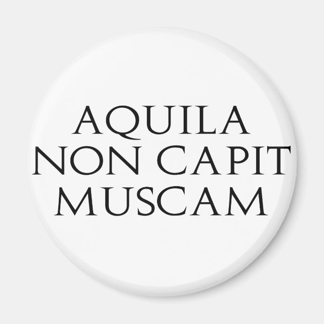 Aquila Non Capit Muscam Magnet (Framsidan)