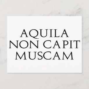 Aquila Non Capit Muscam Vykort