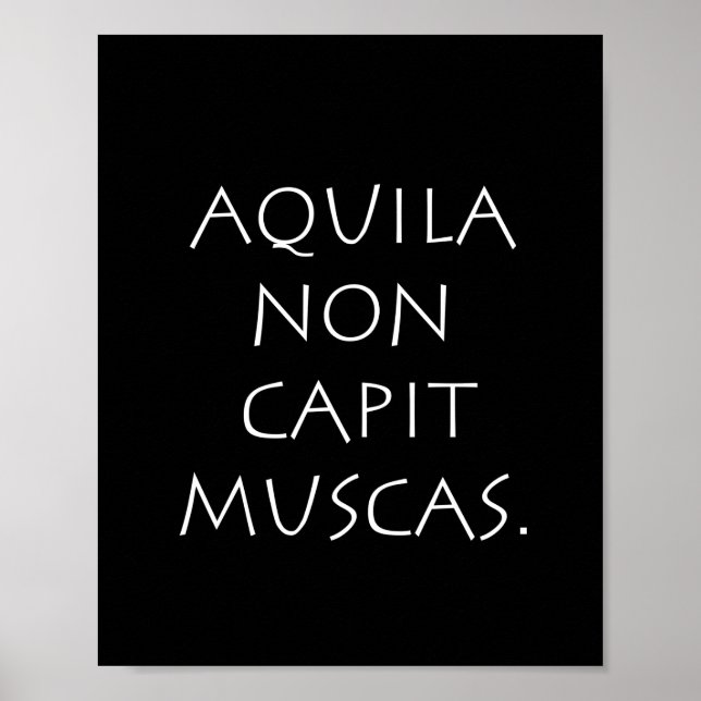 Aquila non capit muscas poster (Framsidan)