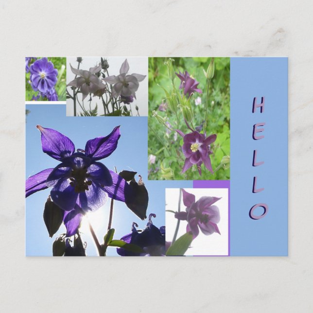 Aquilegia Collage Cust. Text- och BG-HEJ vykort (Framsida)