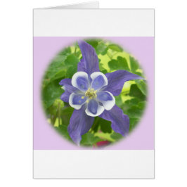 Aquilegia Columbine Flower Card Hälsningskort