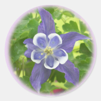 Aquilegia Columbine Flower Round Stickers Runt Klistermärke